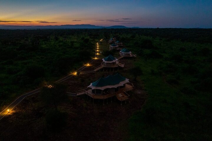 5-Day Private Northern Tanzania Safari from Arusha