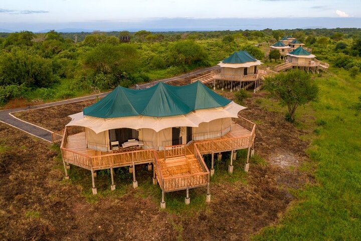 5-Day Private Northern Tanzania Safari from Arusha