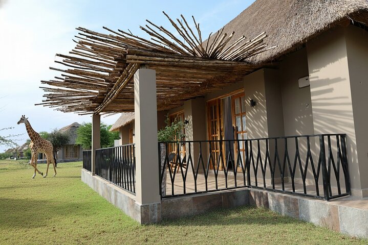 5-Day Private Northern Tanzania Safari from Arusha