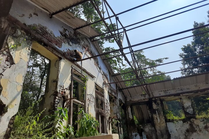 Rishikesh: Beatles Ashram Art & Meditation Heritage Walk