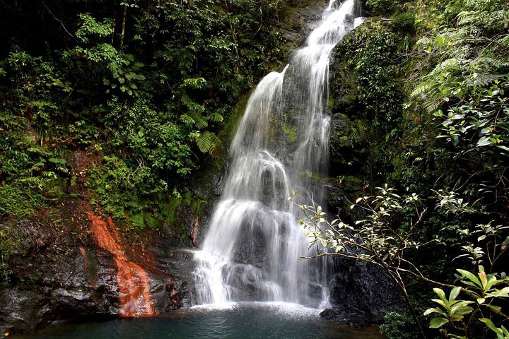 Cockscomb Wildlife Sanctuary
