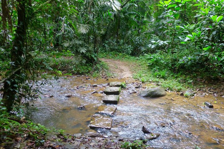 Cockscomb Wildlife Sanctuary