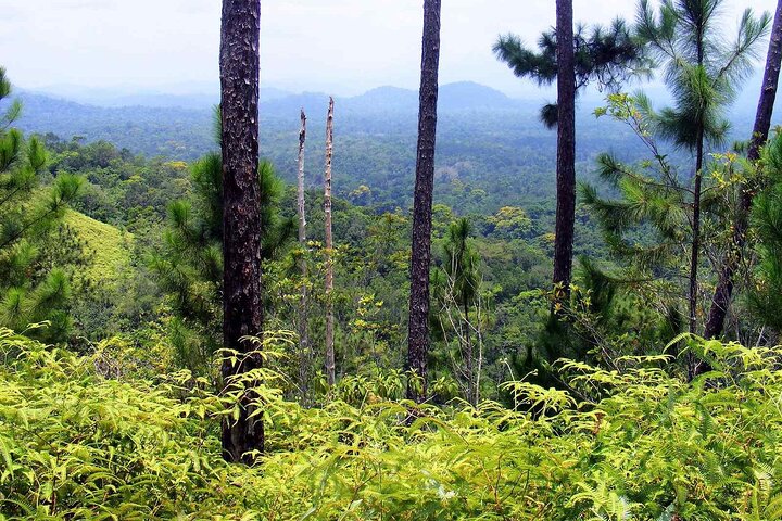 Cockscomb Wildlife Sanctuary