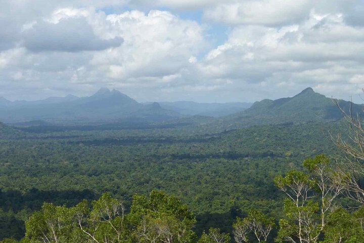 Cockscomb Wildlife Sanctuary