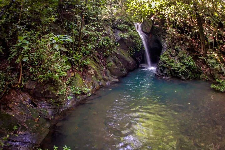 Cockscomb Wildlife Sanctuary