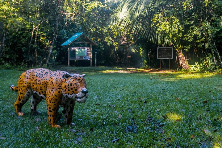 Cockscomb Wildlife Sanctuary