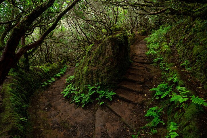 Magical Tenerife / Photo Walk