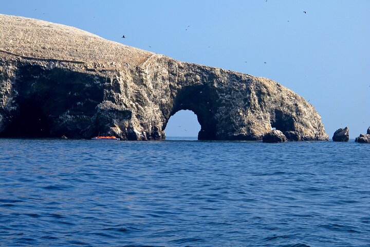 Paracas National Reserve: Private Shore Tour from Pisco 3 Hours