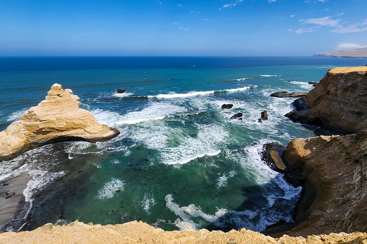 Paracas National Reserve: Private Shore Tour from Pisco 3 Hours