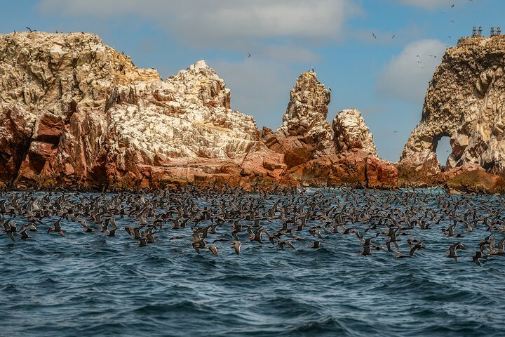 Paracas National Reserve: Private Shore Tour from Pisco 3 Hours