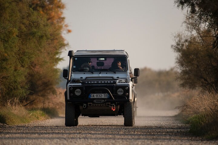 4x4 Camargue Safari 4h - Departure from Arles