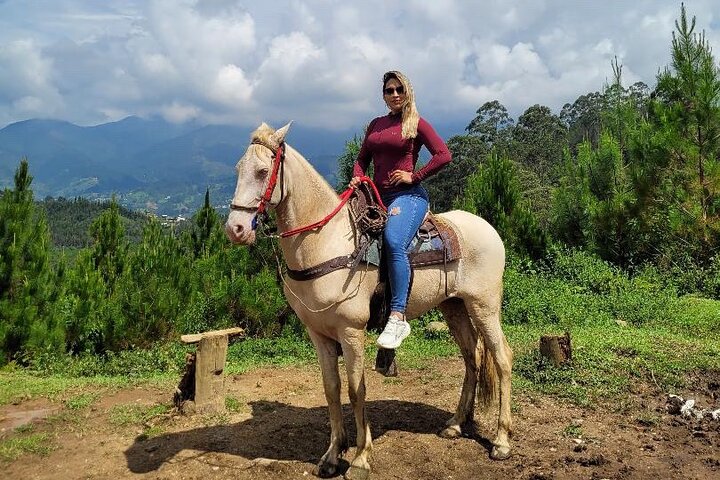 Scenic Horseback Riding in the Medellín Mountains