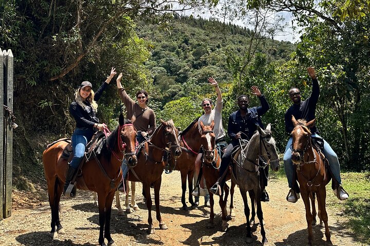 Scenic Horseback Riding in the Medellín Mountains