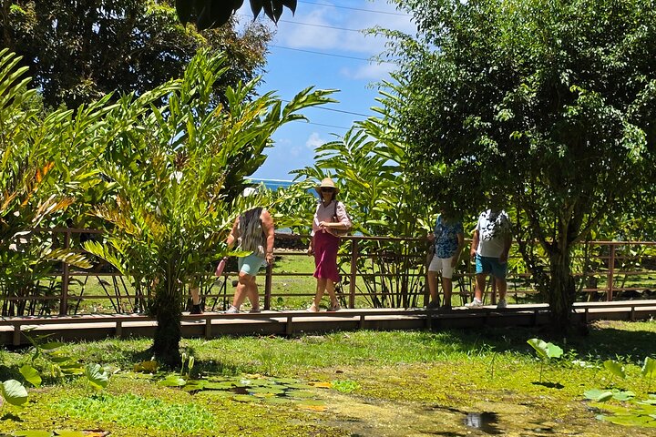 Small Group Shared Tahiti Circle Island Waterfalls and Views