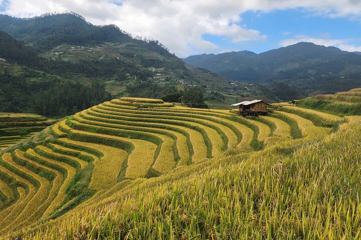 3 Days Trekking Mu Cang Chai Hidden Trails