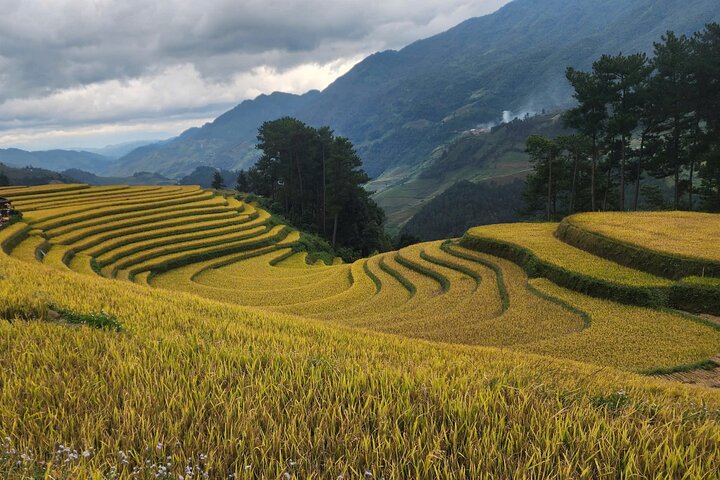 3 Days Trekking Mu Cang Chai Hidden Trails
