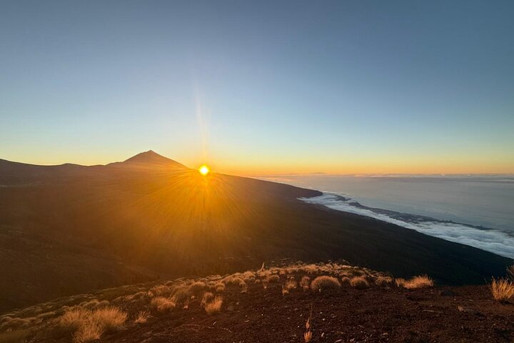 Teide Night Tour with Dinner and Astronomical Observation