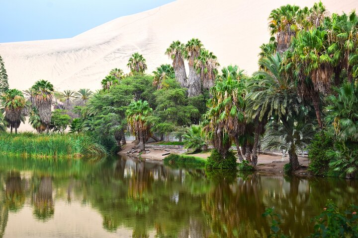 Ica & Huacachina Adventure: Private Shore Tour from Pisco/Paracas
