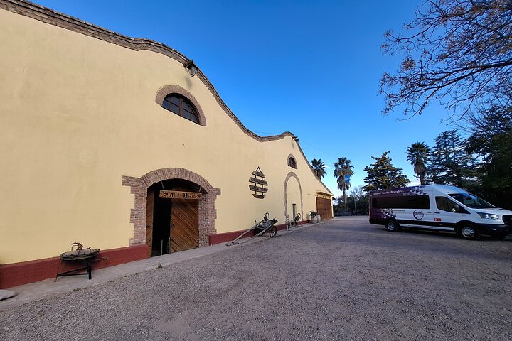 Excursión de 3 bodegas y 1 olivícola con degustación