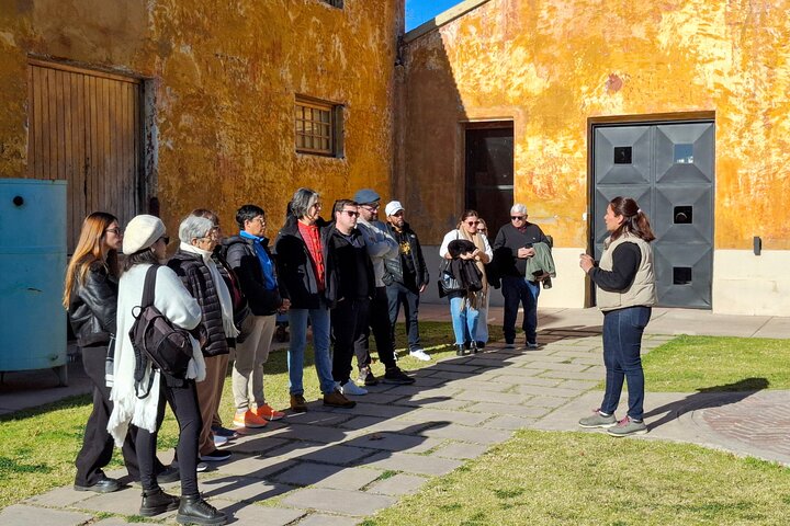 Excursión de 3 bodegas y 1 olivícola con degustación
