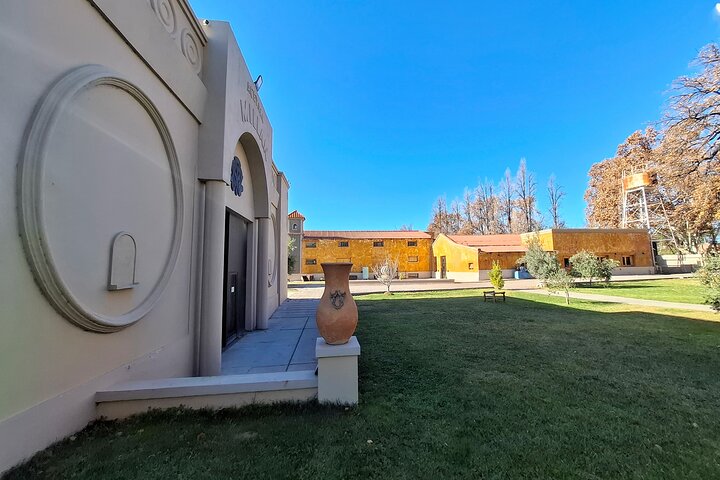 Excursión de 3 bodegas y 1 olivícola con degustación