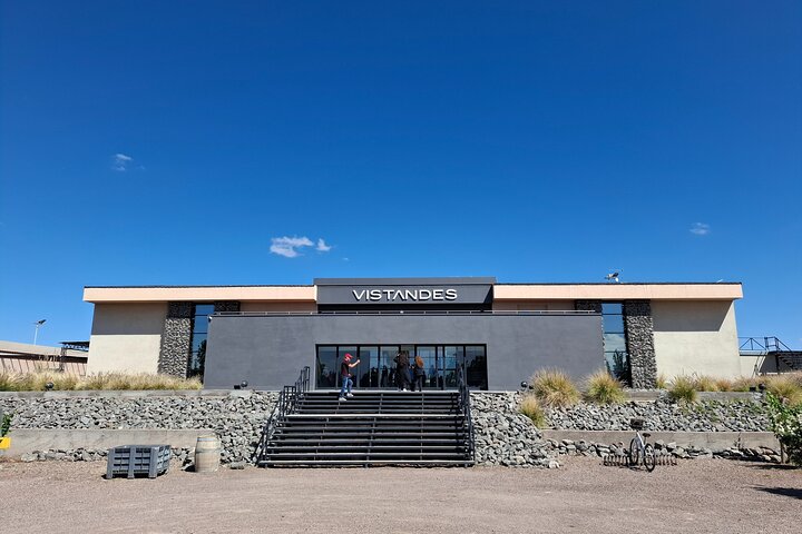 Excursión de 3 bodegas y 1 olivícola con degustación