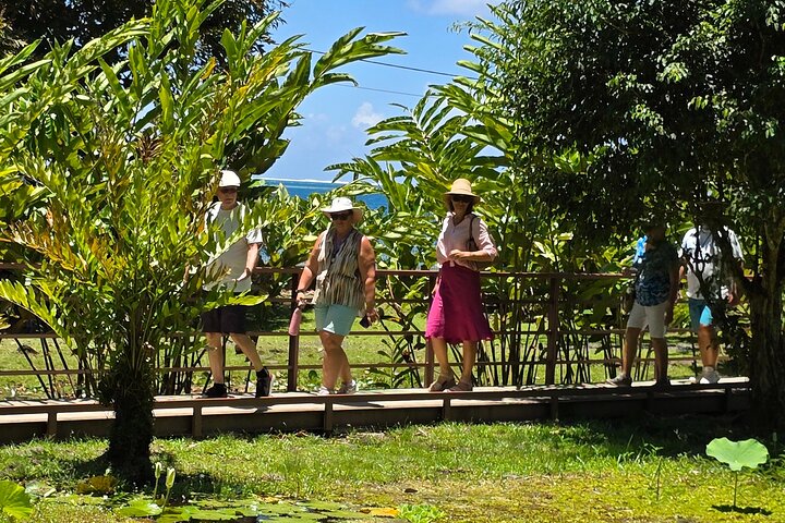 Small Group Shared Half Day Tahiti Tour Waterfalls&Scenic Coast
