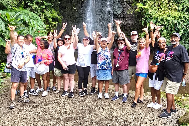 Small Group Shared Half Day Tahiti Tour Waterfalls&Scenic Coast