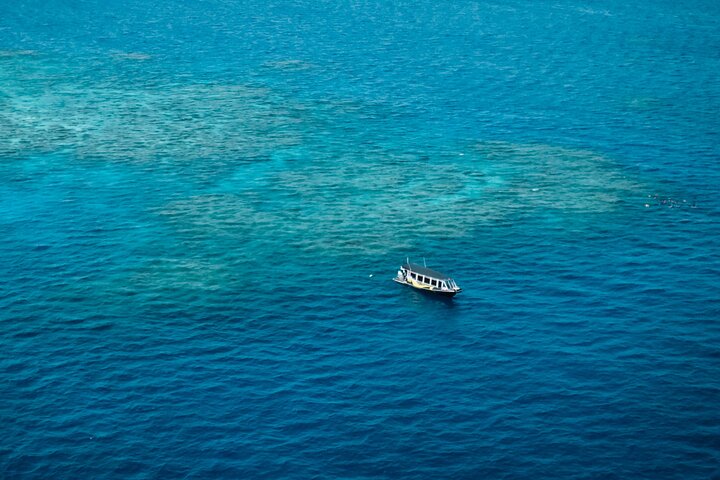 Cairns Half Day Tour a Great Barrier Reef Snorkeling Experience