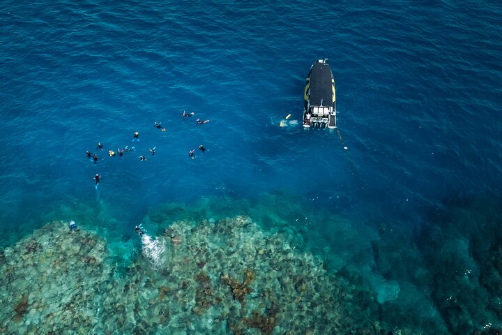 Cairns Half Day Tour a Great Barrier Reef Snorkeling Experience