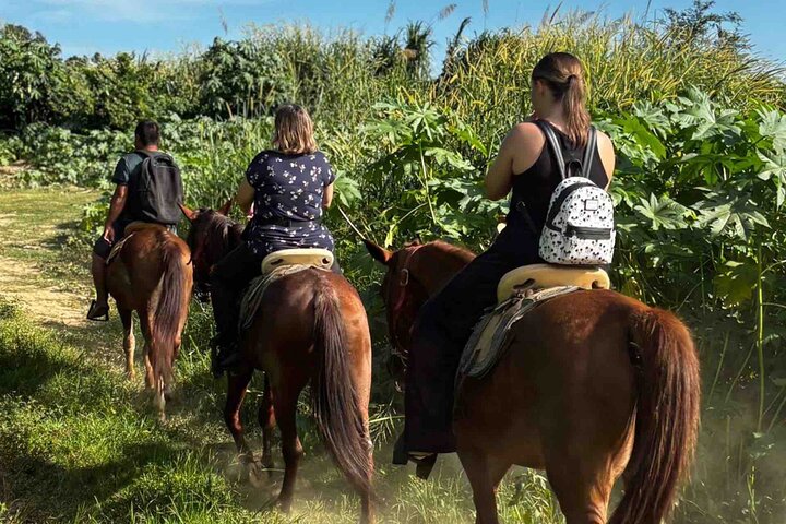 Beach Horseback Riding Adventure in Copalita, Huatulco