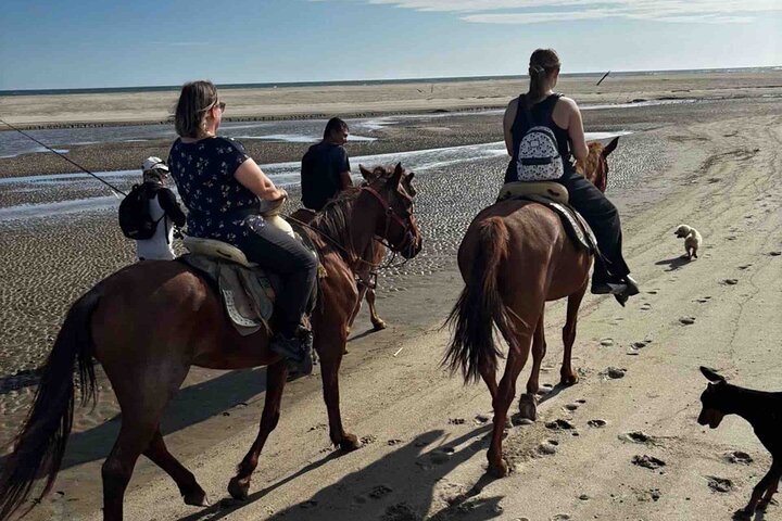 Beach Horseback Riding Adventure in Copalita, Huatulco