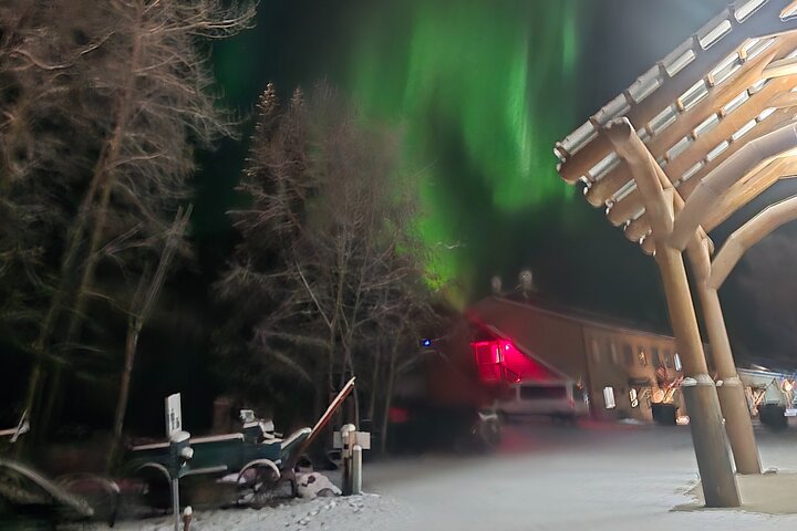 Fire & Ice: Chena Hot Springs, Ice Museum + Aurora Adventure