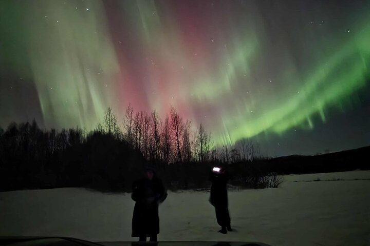 Fire & Ice: Chena Hot Springs, Ice Museum + Aurora Adventure