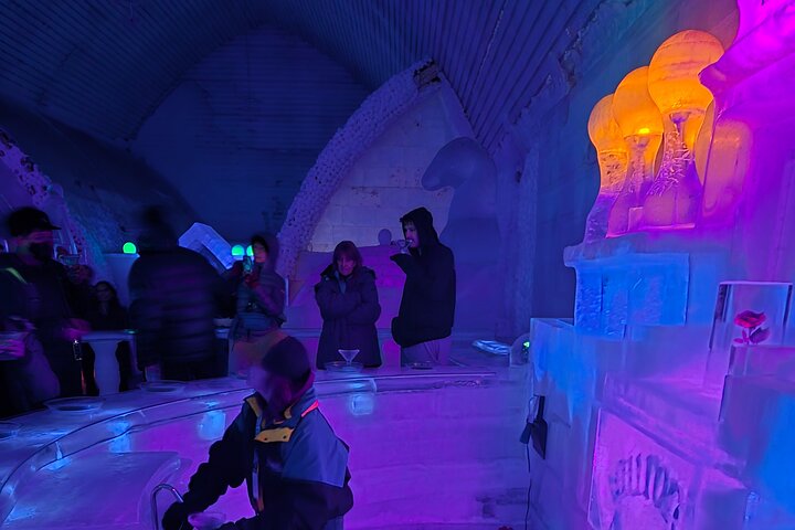 Fire & Ice: Chena Hot Springs, Ice Museum + Aurora Adventure