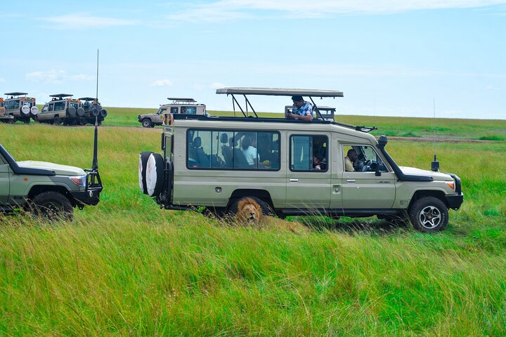 3 Days Masai Mara Budget Private Safari