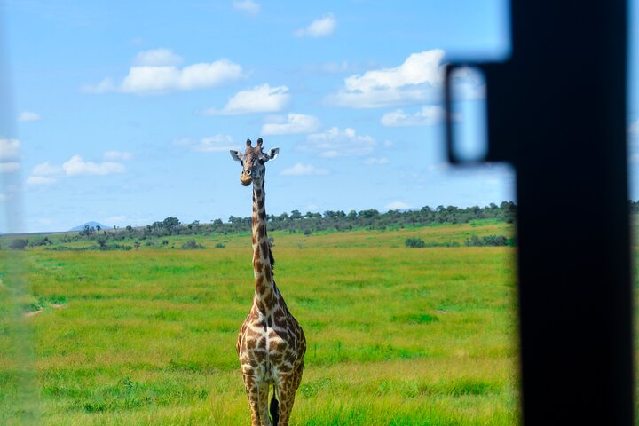 3 Days Masai Mara Budget Private Safari