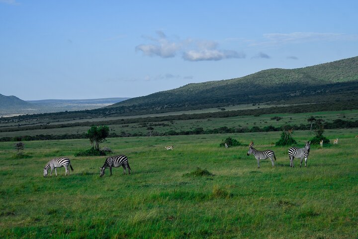 3 Days Masai Mara Budget Private Safari