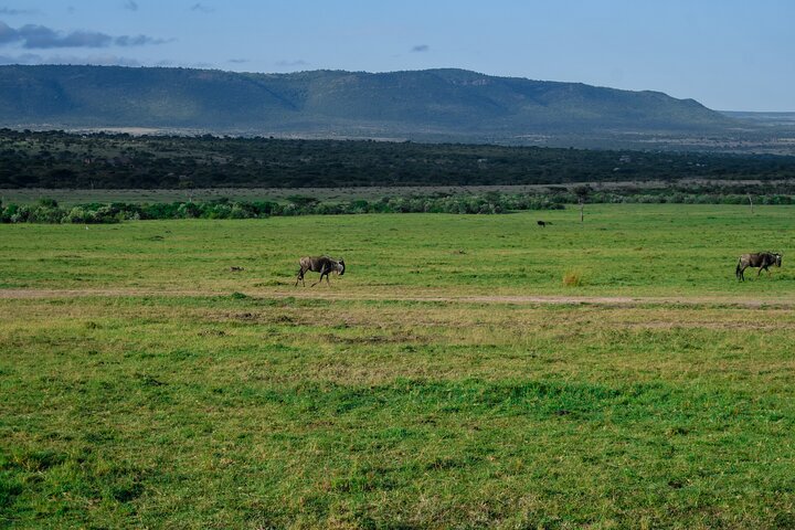 3 Days Masai Mara Budget Private Safari