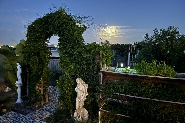 Astronomy Night - Family Stargazing in Finca Astronomica
