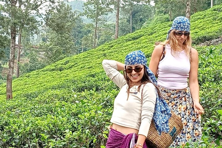Nuwara Eliya 2 Tea Factory Tea Test &Pick 2 Waterfalls Nature Day