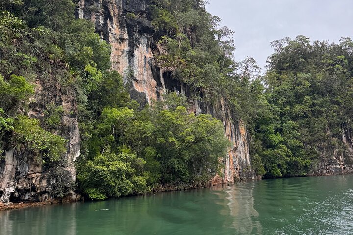 Haitian National Park and fell up