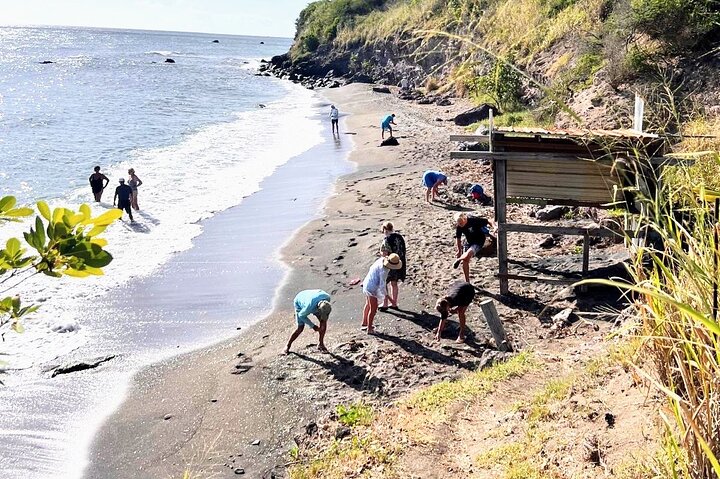 Ken's Beach Hopping Excursion