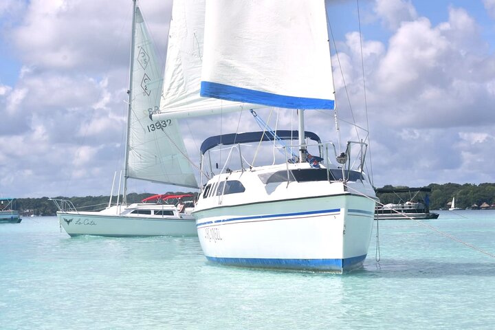 Tour Sailing boat 4 Hours