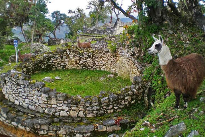 Kuelap Archaeological Site Tour and Cable Car