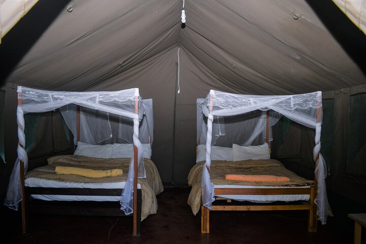 3 Days Masai Mara Budget Private Safari