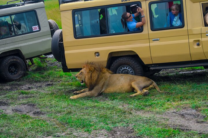3 Days Masai Mara Budget Private Safari
