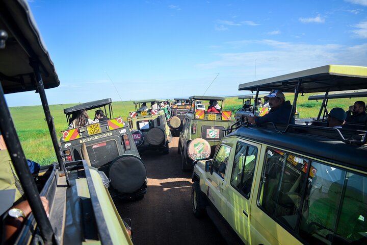 3 Days Masai Mara Budget Private Safari