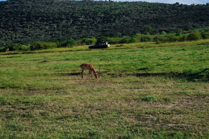 3 Days Masai Mara Budget Private Safari