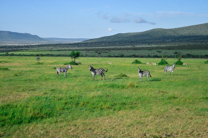 3 Days Masai Mara Budget Private Safari